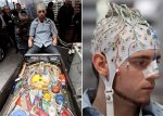 brain-pinball.jpg