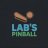 labspinball